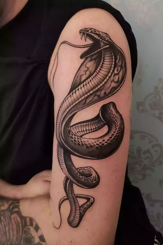Cobra