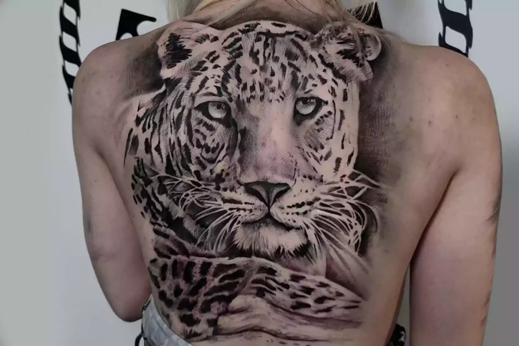 Leopardo Leopardo