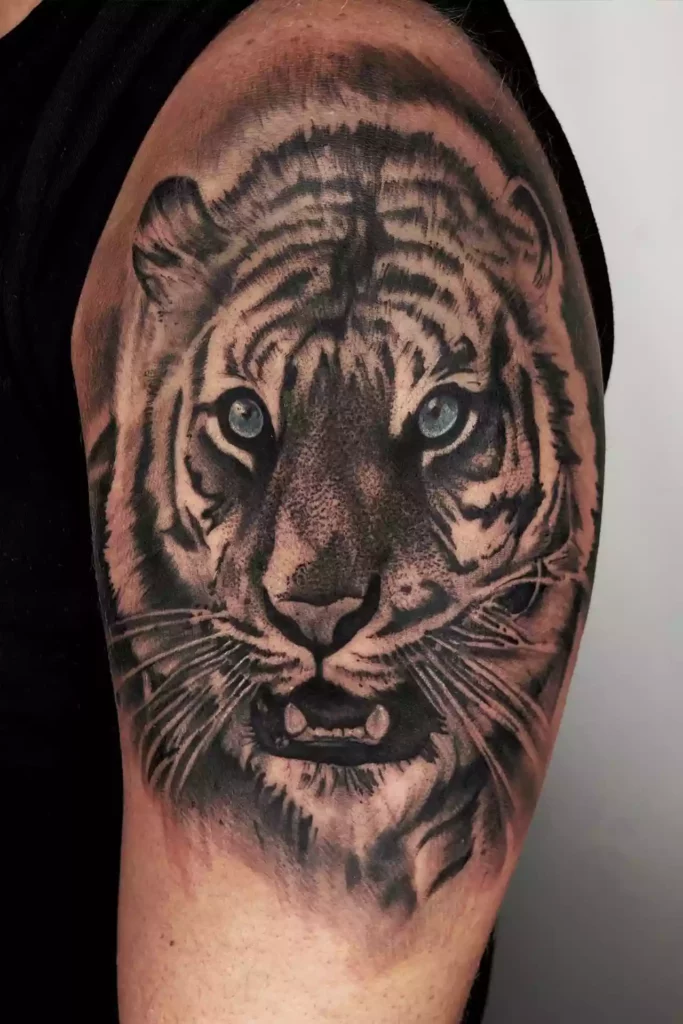 Tigre