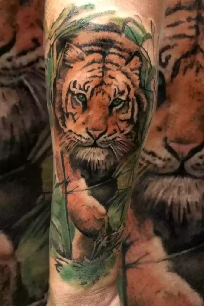 Tigre Tigre
