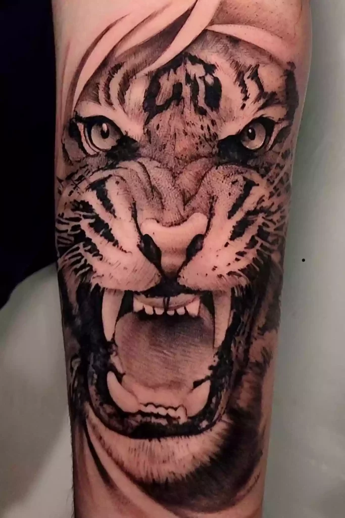 Tigre Tigre