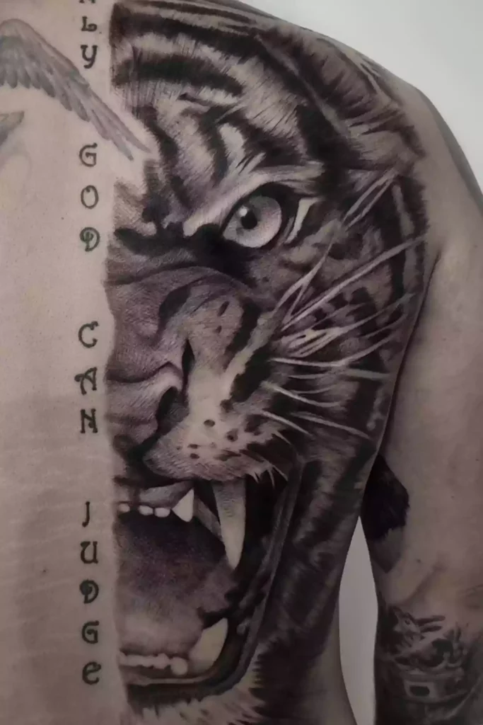 Tigre